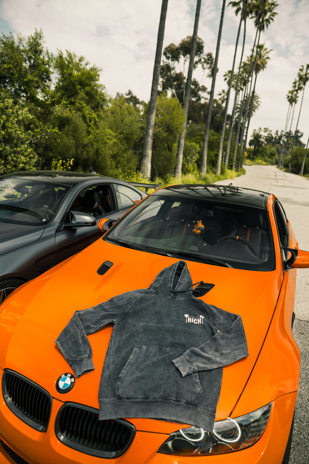 Double Trouble Hoodie